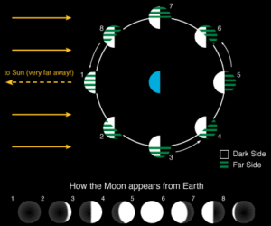 Diagram for Moon Phases