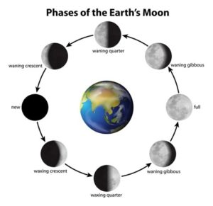 Phases of the Moon Diagram